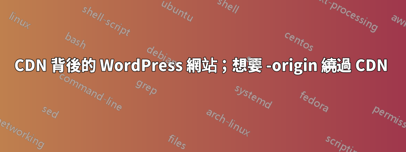 CDN 背後的 WordPress 網站；想要 -origin 繞過 CDN