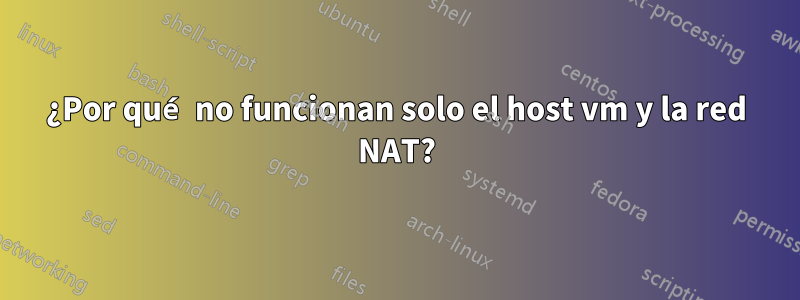 ¿Por qué no funcionan solo el host vm y la red NAT?