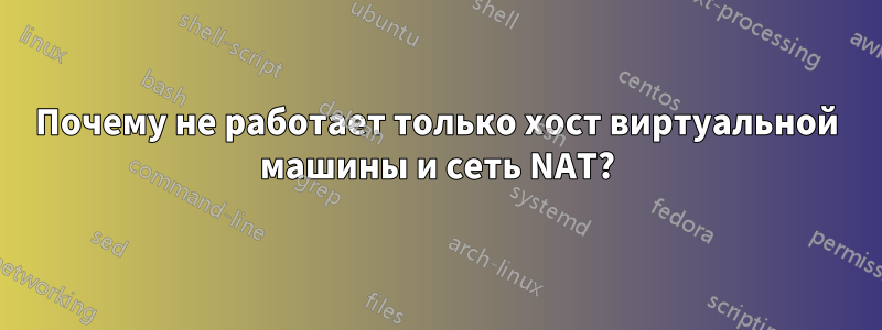 Почему не работает только хост виртуальной машины и сеть NAT?