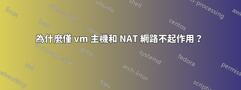 為什麼僅 vm 主機和 NAT 網路不起作用？