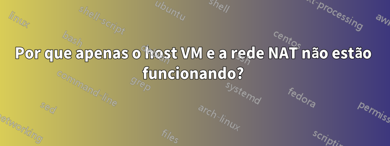 Por que apenas o host VM e a rede NAT não estão funcionando?