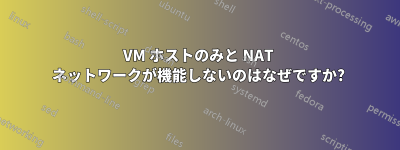 VM ホストのみと NAT ネットワークが機能しないのはなぜですか?