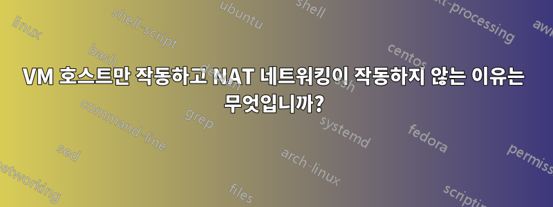 VM 호스트만 작동하고 NAT 네트워킹이 작동하지 않는 이유는 무엇입니까?