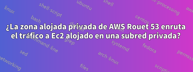 ¿La zona alojada privada de AWS Rouet 53 enruta el tráfico a Ec2 alojado en una subred privada?