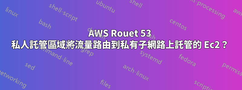 AWS Rouet 53 私人託管區域將流量路由到私有子網路上託管的 Ec2？