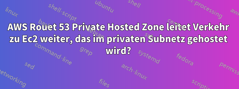 AWS Rouet 53 Private Hosted Zone leitet Verkehr zu Ec2 weiter, das im privaten Subnetz gehostet wird?