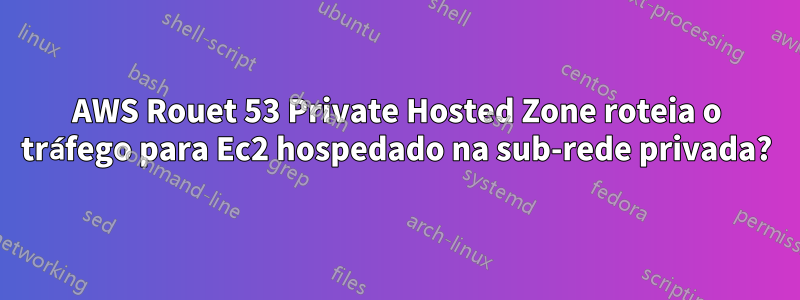 AWS Rouet 53 Private Hosted Zone roteia o tráfego para Ec2 hospedado na sub-rede privada?