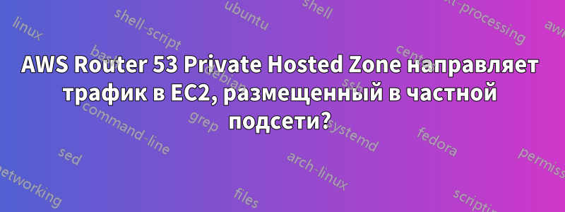 AWS Router 53 Private Hosted Zone направляет трафик в EC2, размещенный в частной подсети?