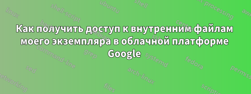 Как получить доступ к внутренним файлам моего экземпляра в облачной платформе Google