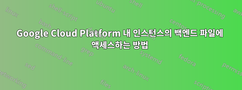 Google Cloud Platform 내 인스턴스의 백엔드 파일에 액세스하는 방법