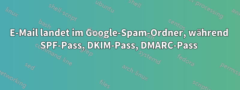 E-Mail landet im Google-Spam-Ordner, während SPF-Pass, DKIM-Pass, DMARC-Pass