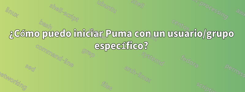 ¿Cómo puedo iniciar Puma con un usuario/grupo específico?