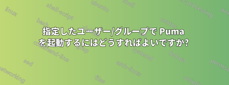 指定したユーザー/グループで Puma を起動するにはどうすればよいですか?