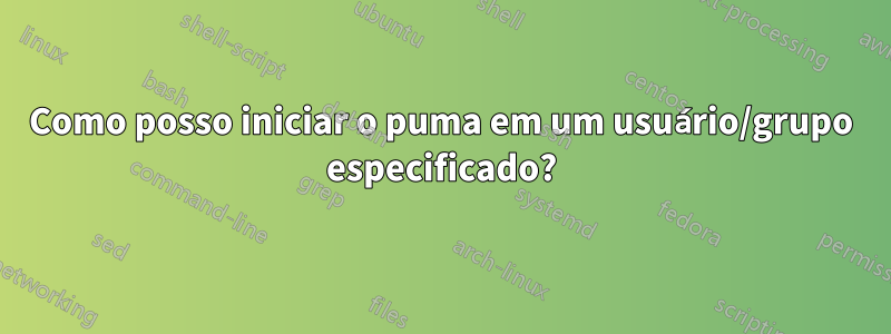 Como posso iniciar o puma em um usuário/grupo especificado?