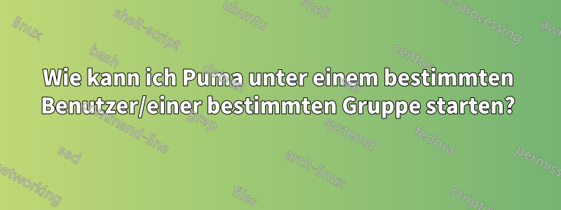 Wie kann ich Puma unter einem bestimmten Benutzer/einer bestimmten Gruppe starten?