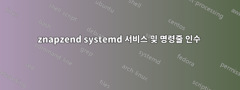 znapzend systemd 서비스 및 명령줄 인수