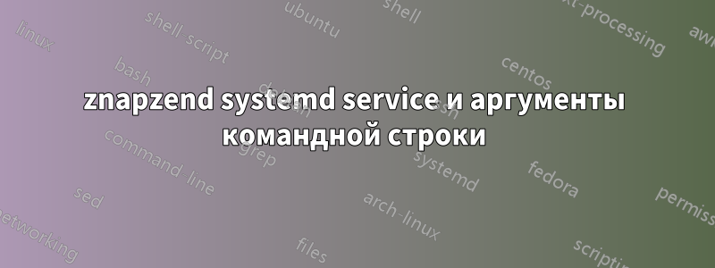 znapzend systemd service и аргументы командной строки