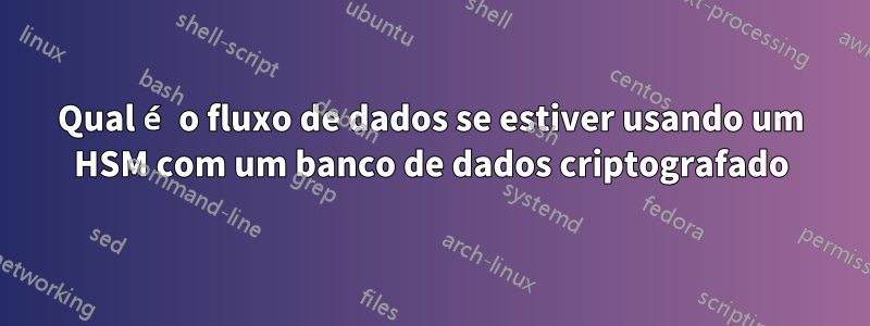 Qual é o fluxo de dados se estiver usando um HSM com um banco de dados criptografado