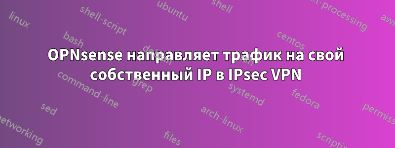 OPNsense направляет трафик на свой собственный IP в IPsec VPN