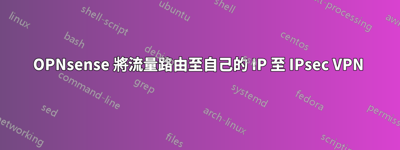 OPNsense 將流量路由至自己的 IP 至 IPsec VPN