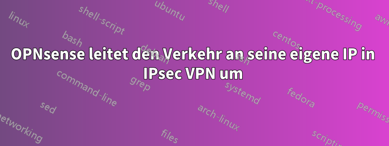 OPNsense leitet den Verkehr an seine eigene IP in IPsec VPN um