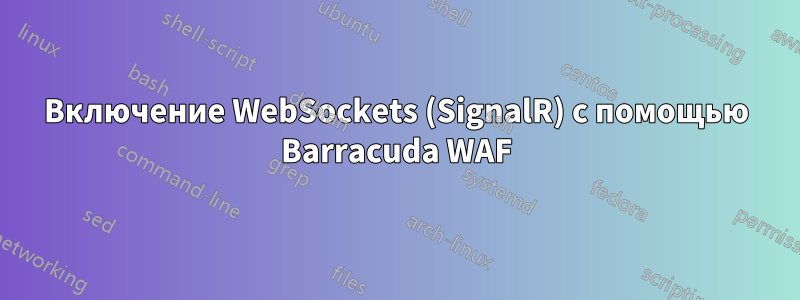 Включение WebSockets (SignalR) с помощью Barracuda WAF