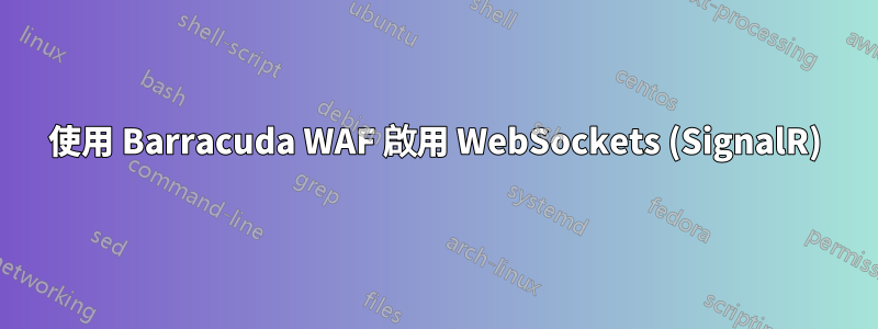 使用 Barracuda WAF 啟用 WebSockets (SignalR)