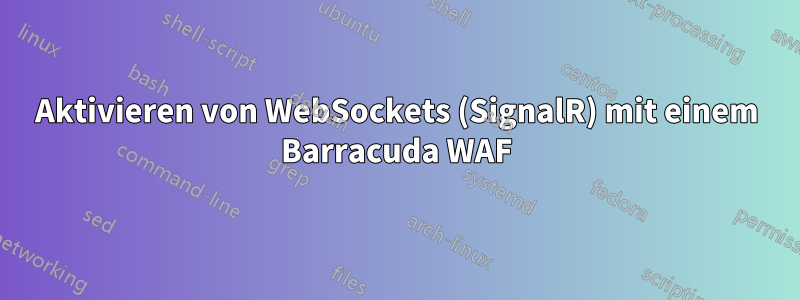 Aktivieren von WebSockets (SignalR) mit einem Barracuda WAF