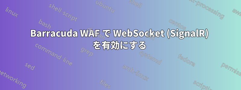 Barracuda WAF で WebSocket (SignalR) を有効にする