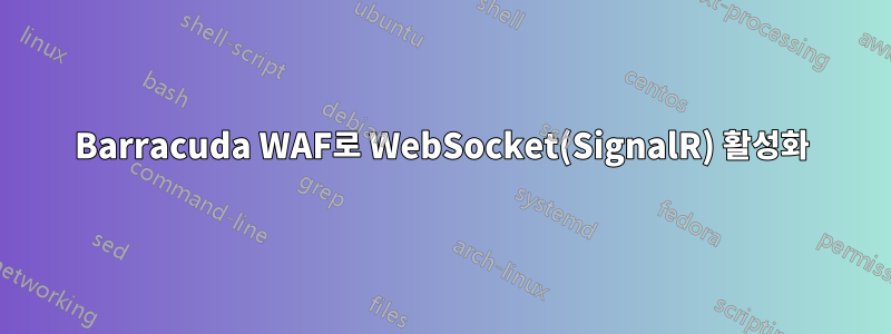 Barracuda WAF로 WebSocket(SignalR) 활성화