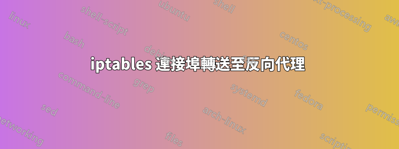 iptables 連接埠轉送至反向代理