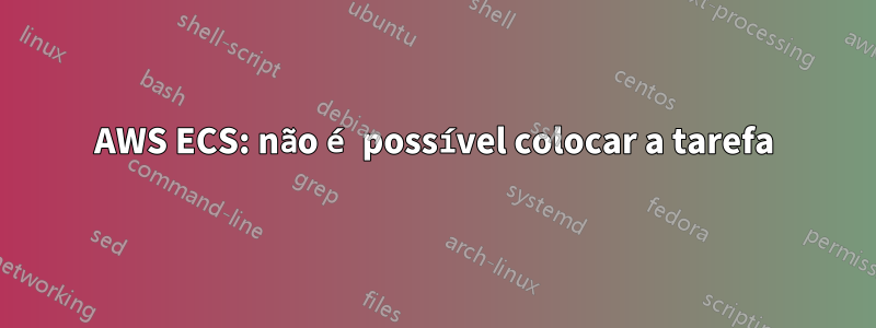 AWS ECS: não é possível colocar a tarefa