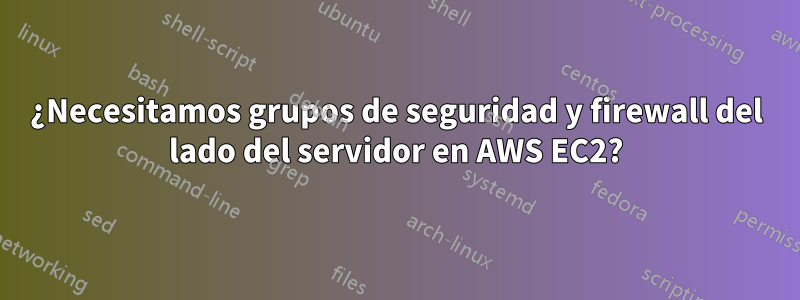 ¿Necesitamos grupos de seguridad y firewall del lado del servidor en AWS EC2?