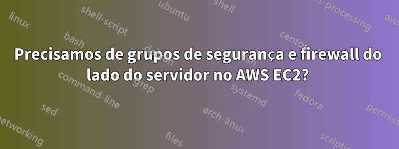 Precisamos de grupos de segurança e firewall do lado do servidor no AWS EC2?