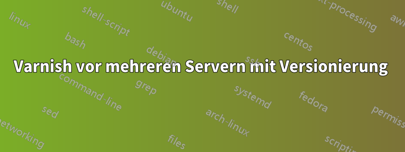 Varnish vor mehreren Servern mit Versionierung