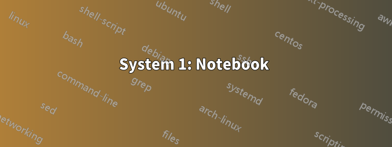 System 1: Notebook