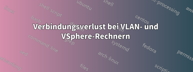 Verbindungsverlust bei VLAN- und VSphere-Rechnern