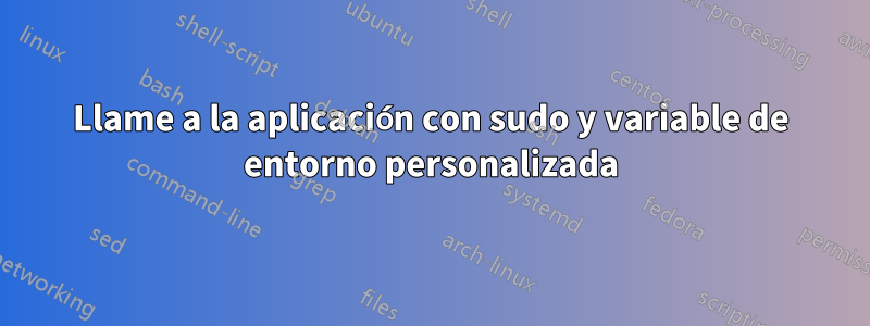 Llame a la aplicación con sudo y variable de entorno personalizada