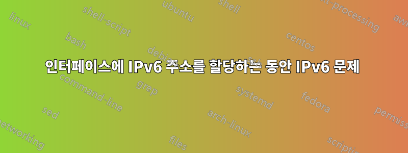 인터페이스에 IPv6 주소를 할당하는 동안 IPv6 문제