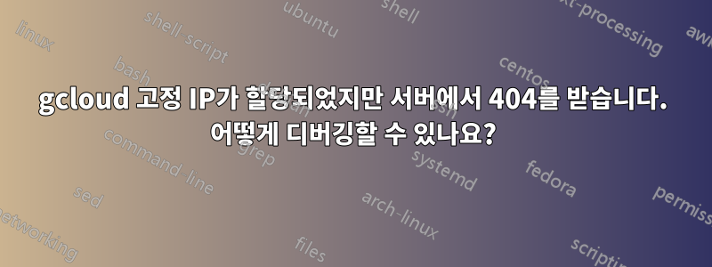 gcloud 고정 IP가 할당되었지만 서버에서 404를 받습니다. 어떻게 디버깅할 수 있나요?