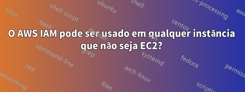 O AWS IAM pode ser usado em qualquer instância que não seja EC2?