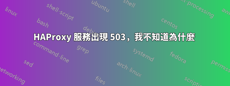 HAProxy 服務出現 503，我不知道為什麼