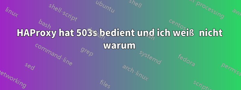 HAProxy hat 503s bedient und ich weiß nicht warum