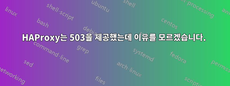 HAProxy는 503을 제공했는데 이유를 모르겠습니다.