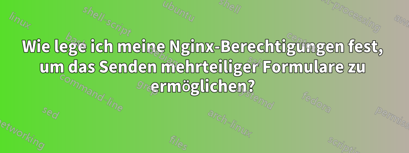 Wie lege ich meine Nginx-Berechtigungen fest, um das Senden mehrteiliger Formulare zu ermöglichen?