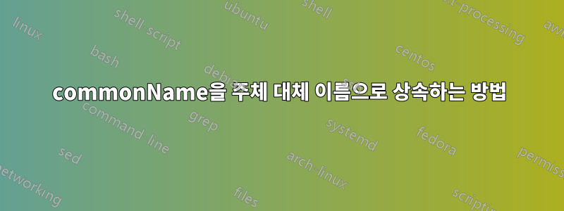 commonName을 주체 대체 이름으로 상속하는 방법