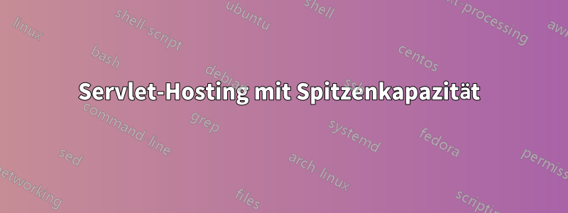 Servlet-Hosting mit Spitzenkapazität 