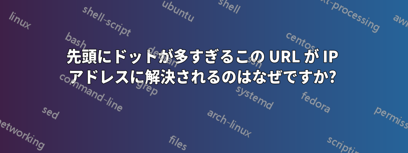 先頭にドットが多すぎるこの URL が IP アドレスに解決されるのはなぜですか?