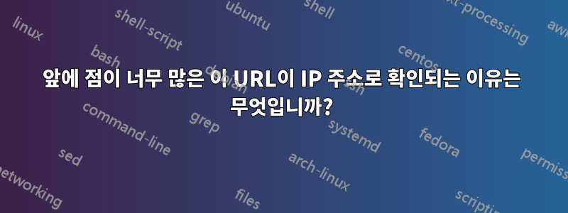앞에 점이 너무 많은 이 URL이 IP 주소로 확인되는 이유는 무엇입니까?