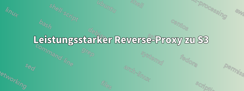 Leistungsstarker Reverse-Proxy zu S3